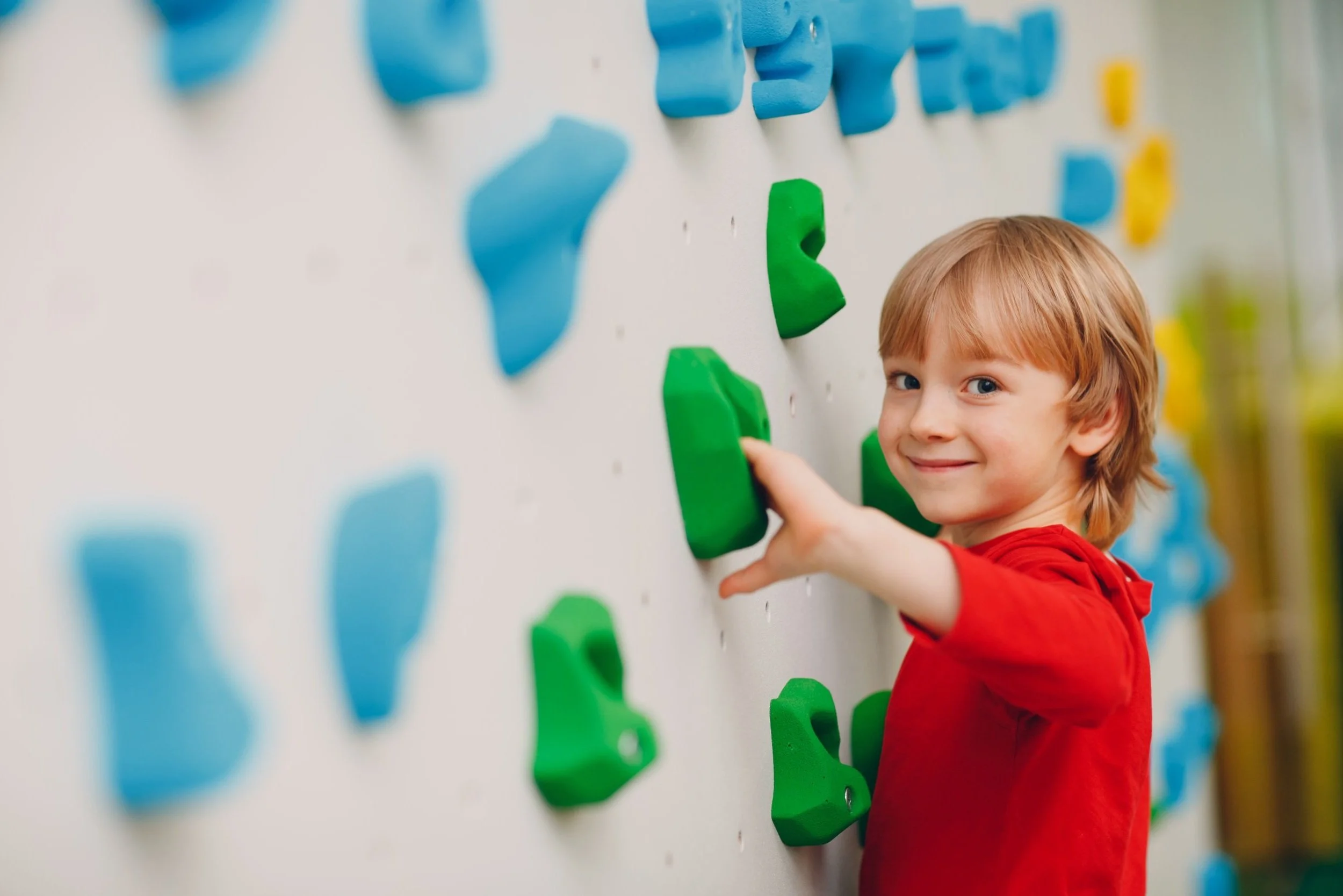 BRAVE WINGS THERAPY visual data 3