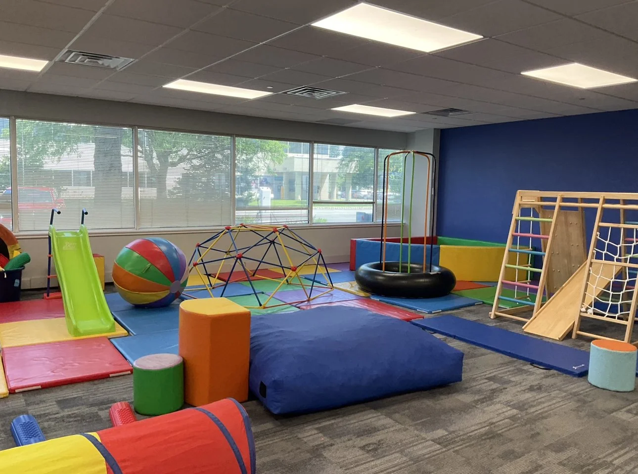 BRAVE WINGS THERAPY visual data 8