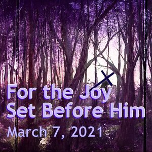 Joy Set Before Him | Looking Like A Fool