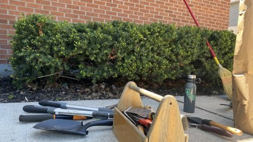 Fall Clean Up