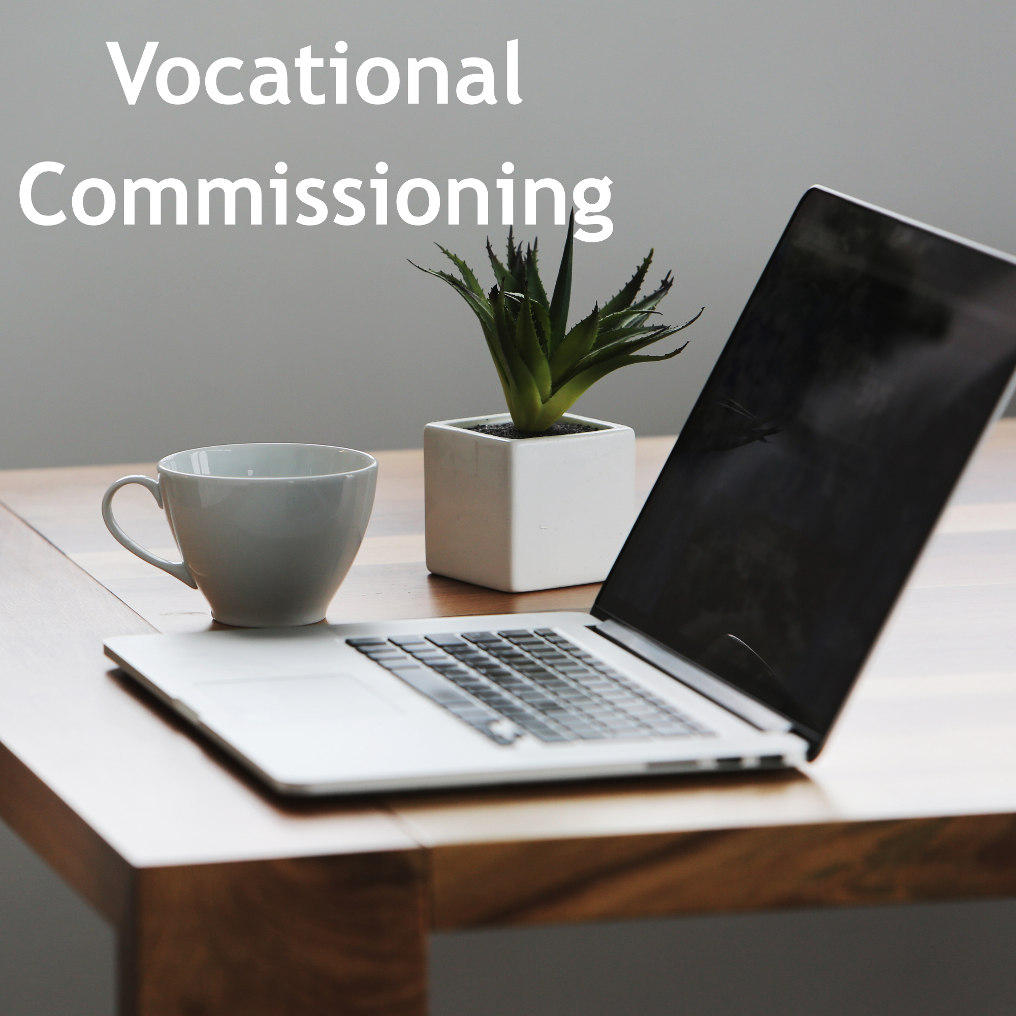 Vocational Commissioning