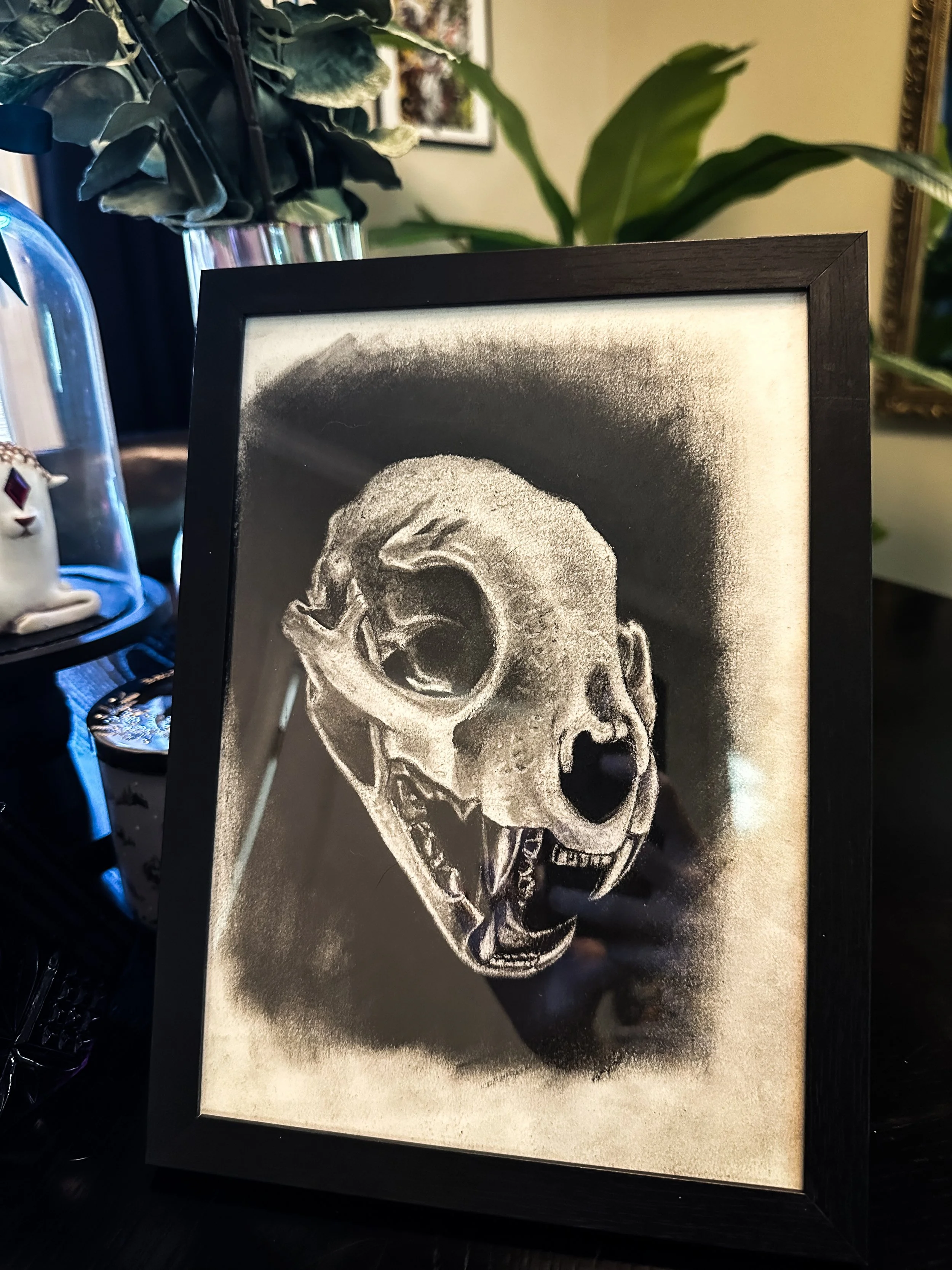Framed Original Charcoal Animal Skull Drawing