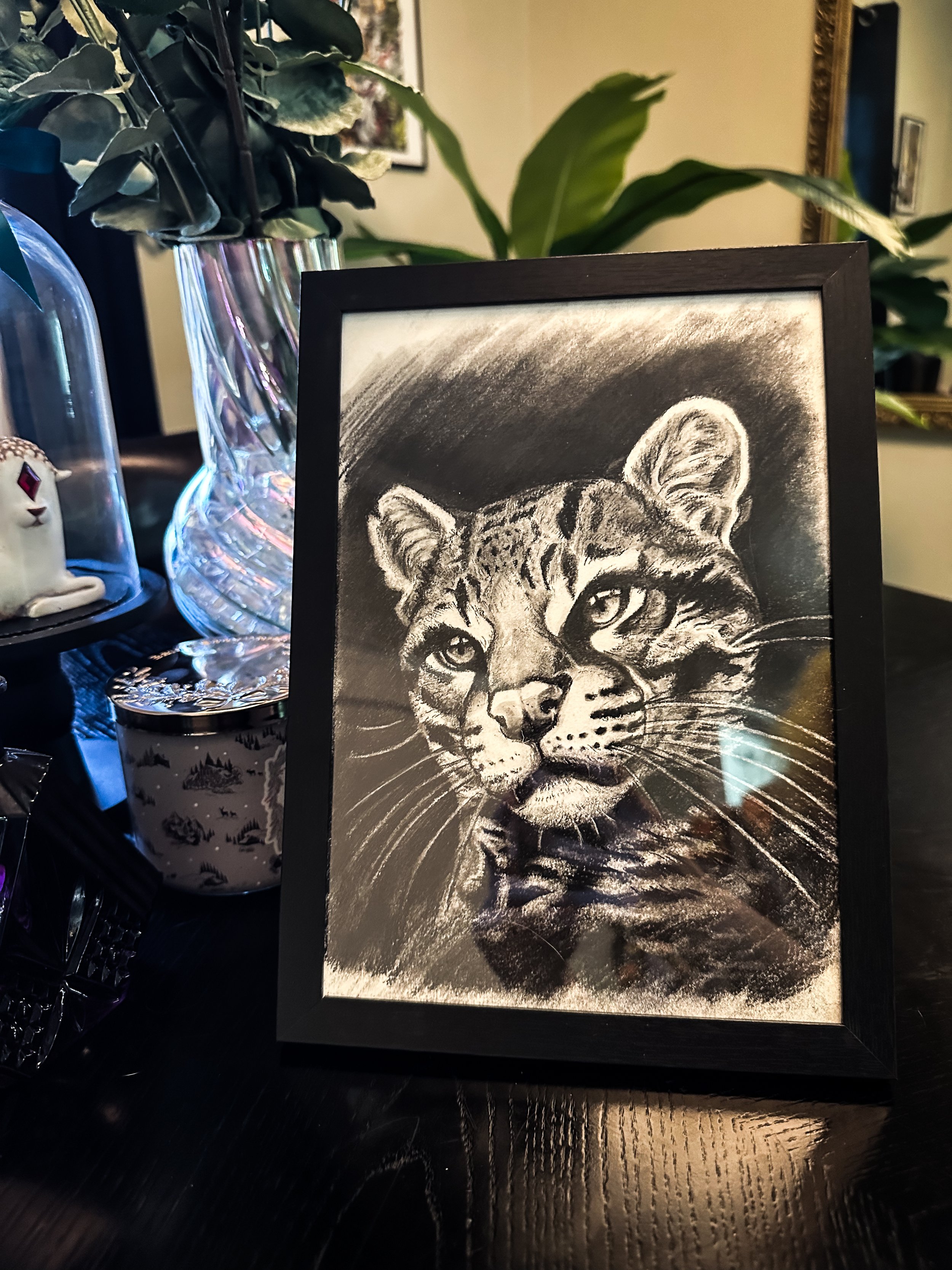 Framed Original Charcoal Ocelot Drawing