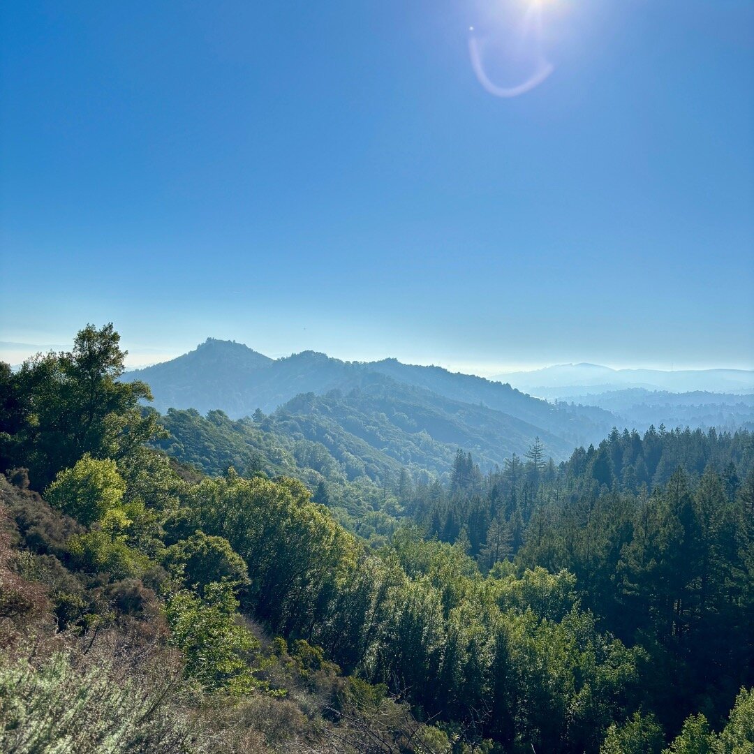 When I am looking to clear my head or organize my thoughts/emotions, I hit the trails. Today was no exception, a gorgeous morning in the Bay Area and nature gave me all I needed and more! My thoughts are clear, my intentions are set and I am ready to