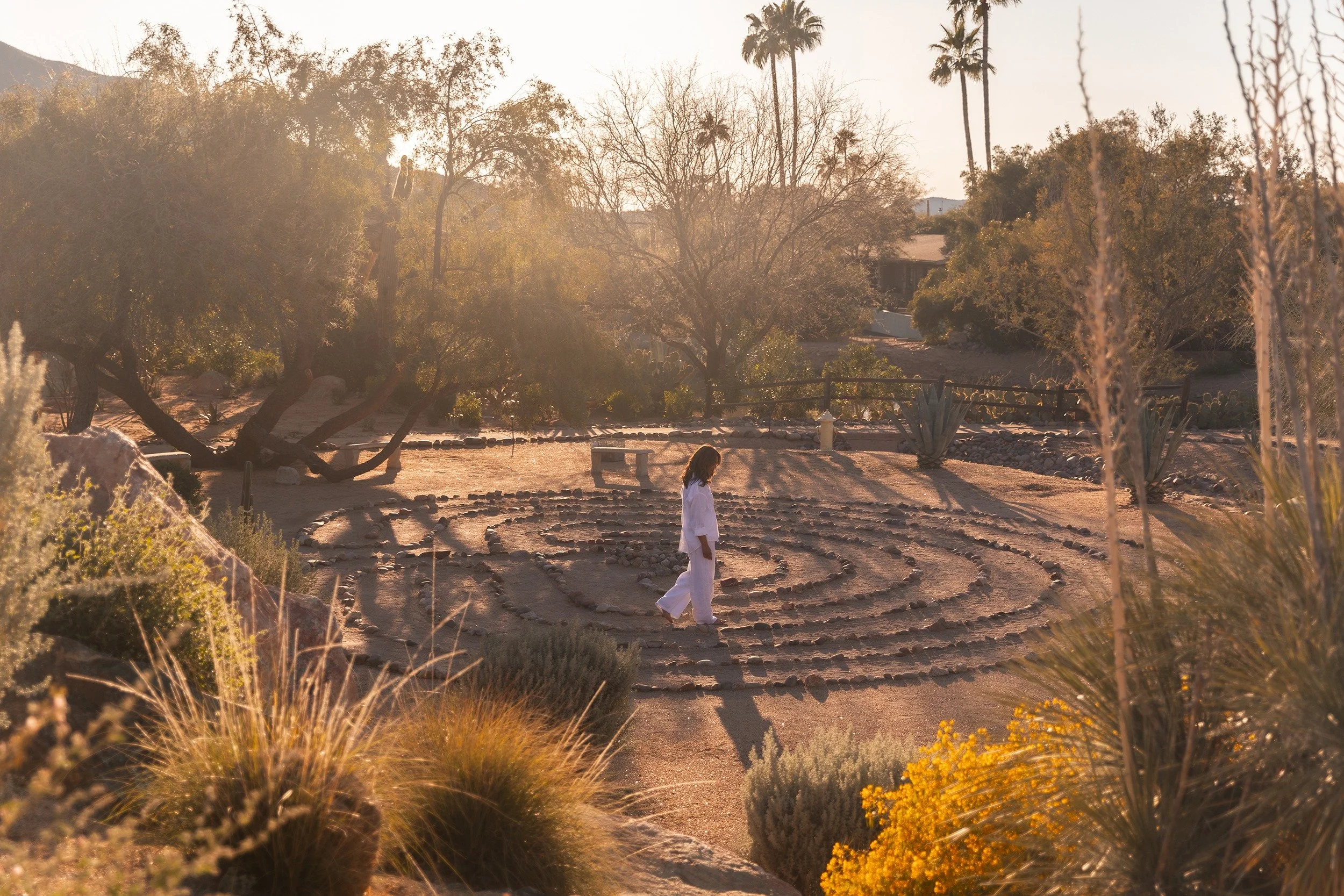 Announcing the 5th Annual Wise Wellness Retreat