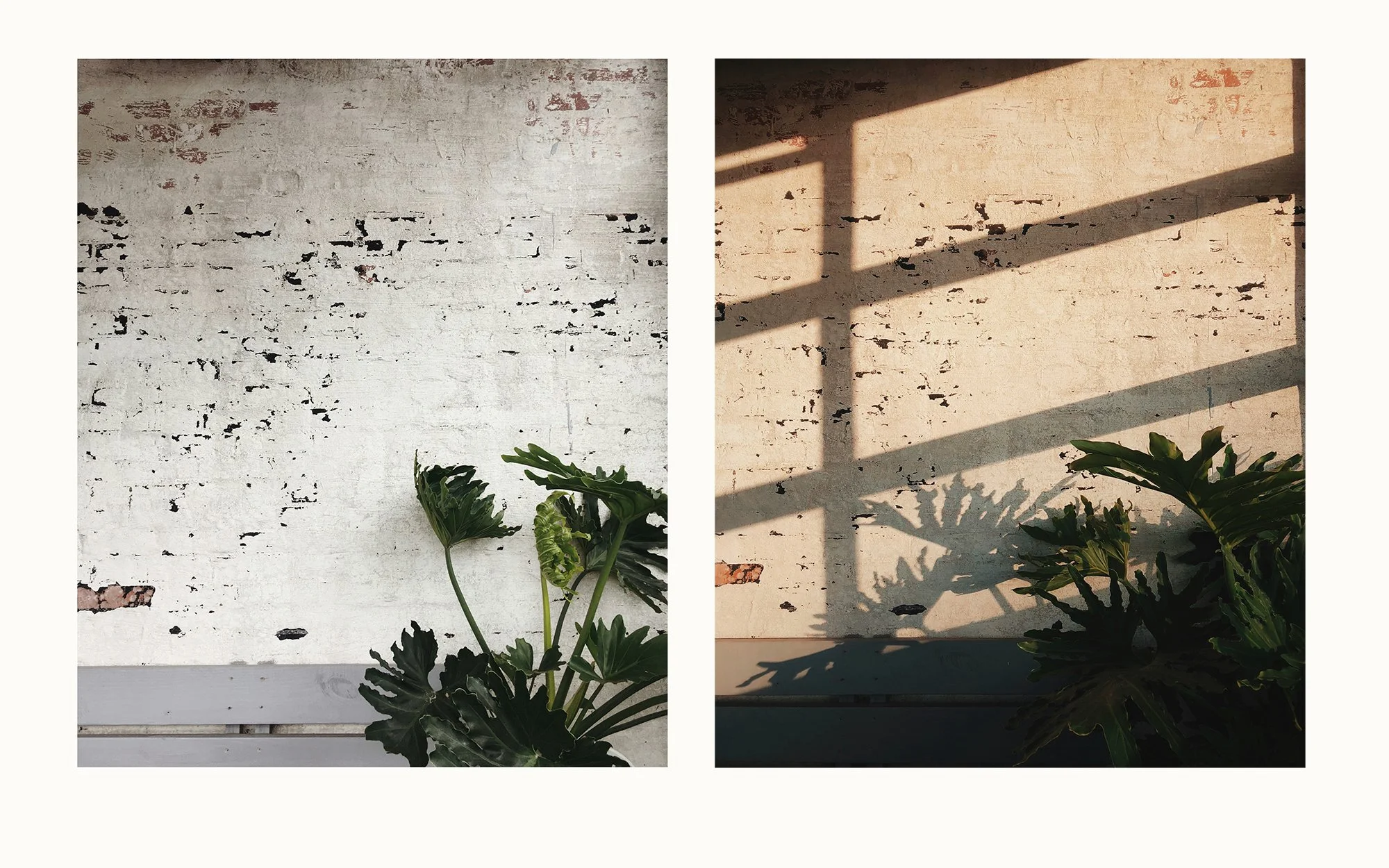 The Label Becomes the Lens