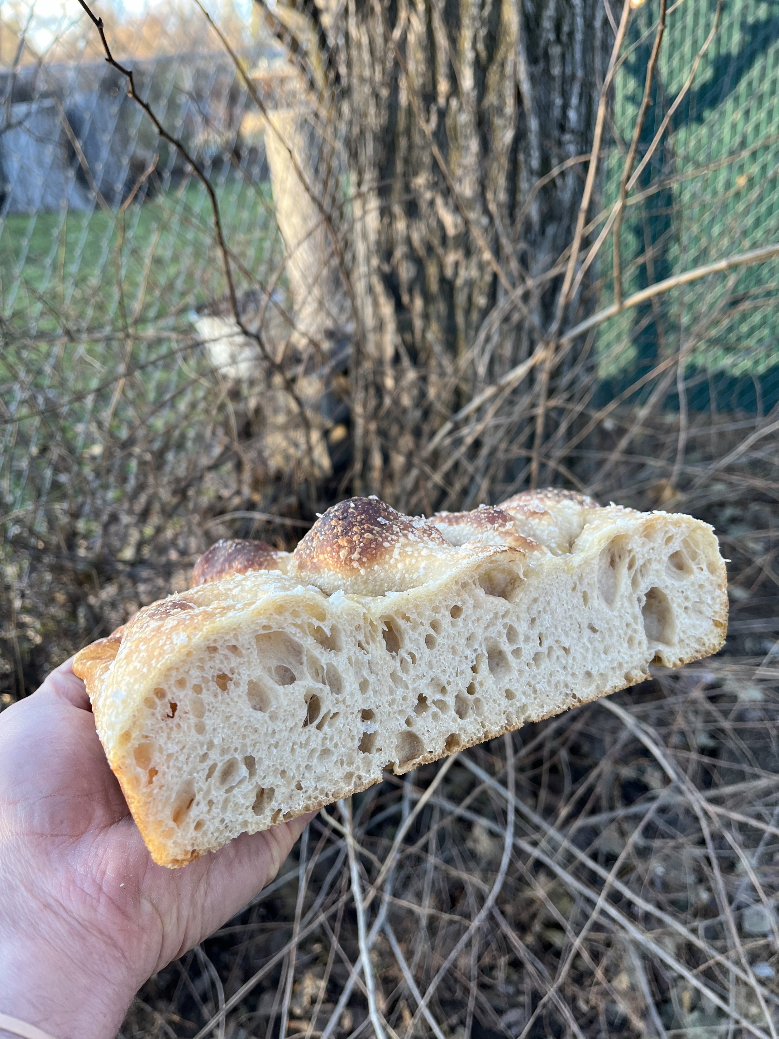Half Loaf of Focaccia