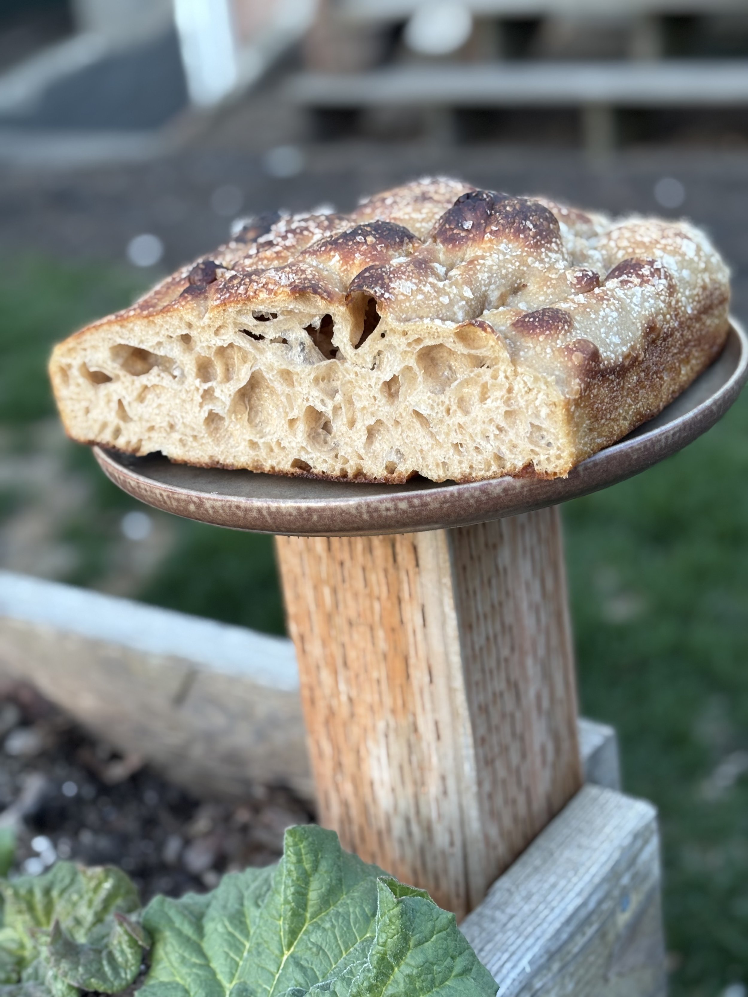Half Loaf of Focaccia