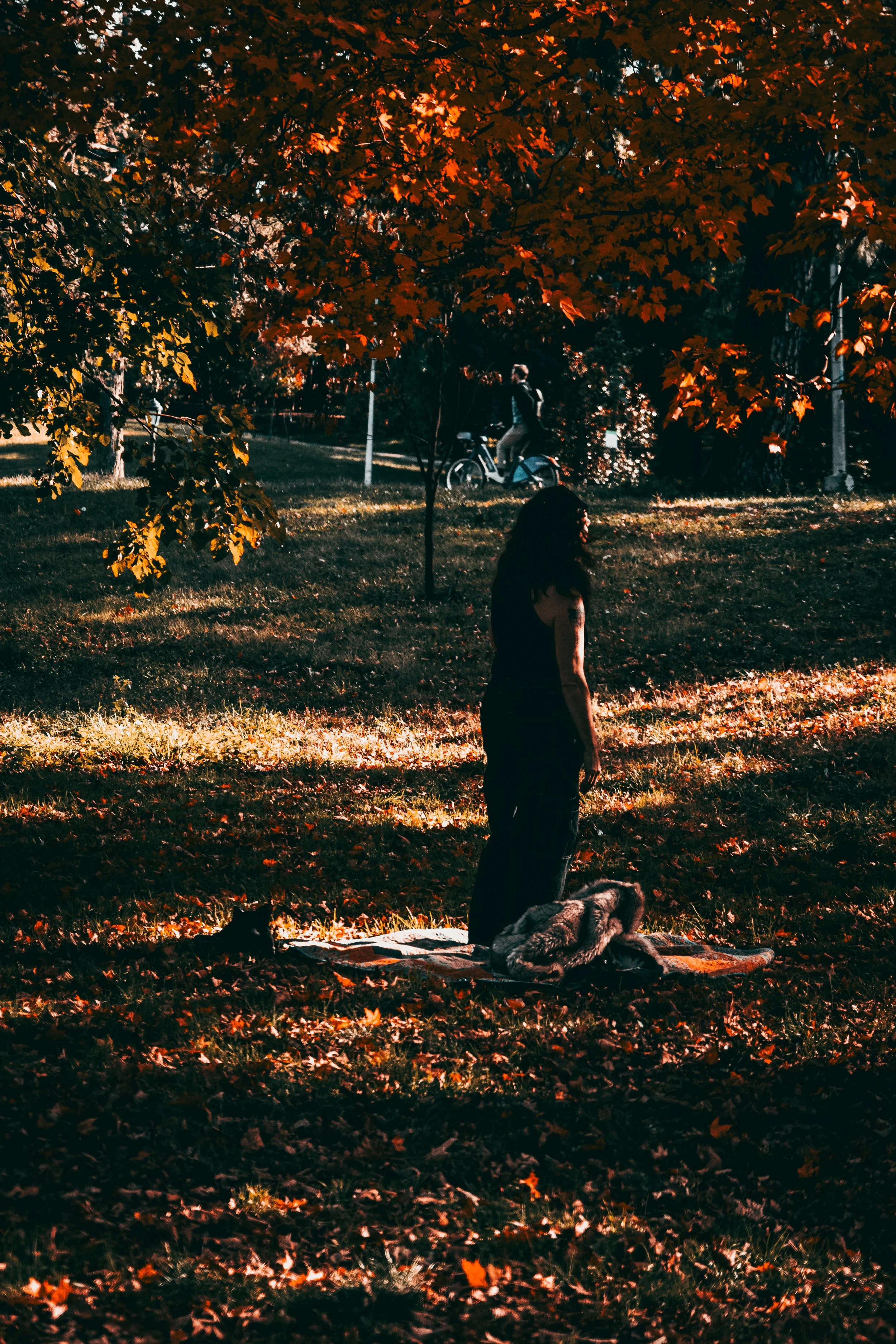 Stoic Solitude