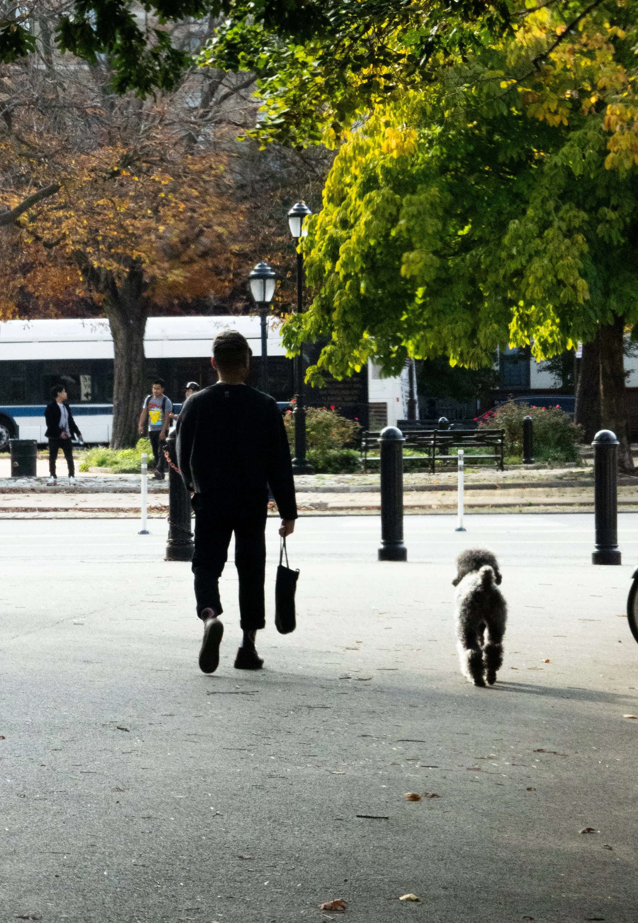 a Dog and his Boy