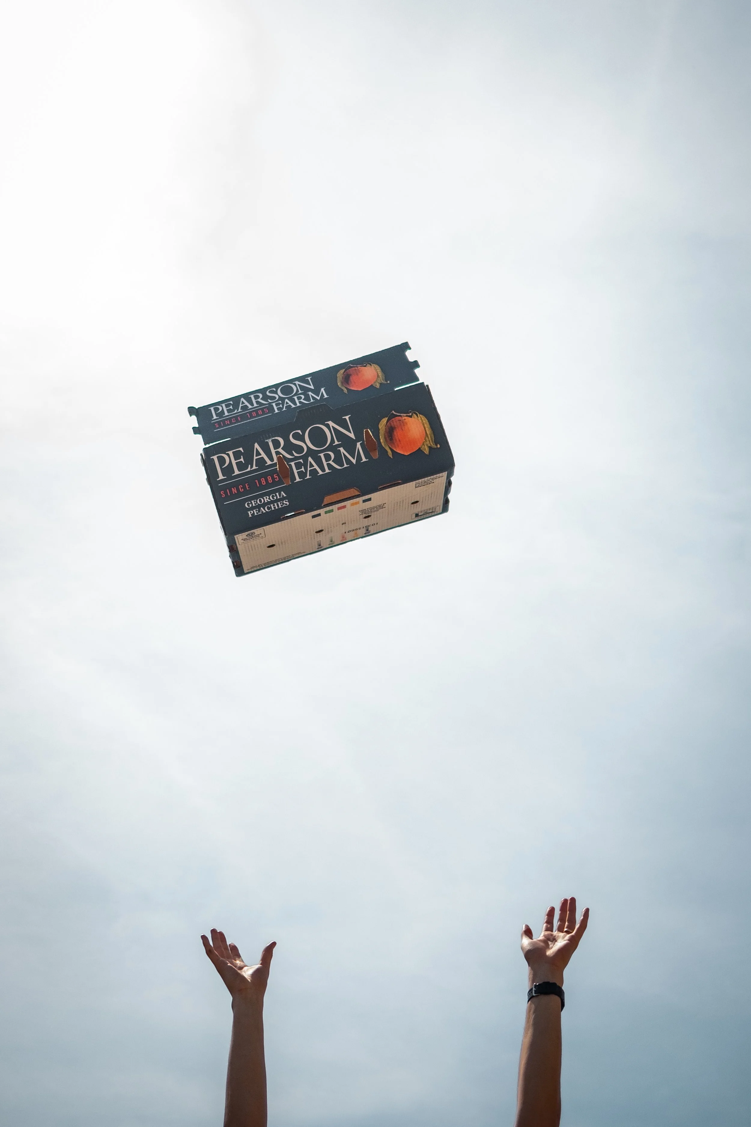 190406JV_georgiapeach-20.jpg