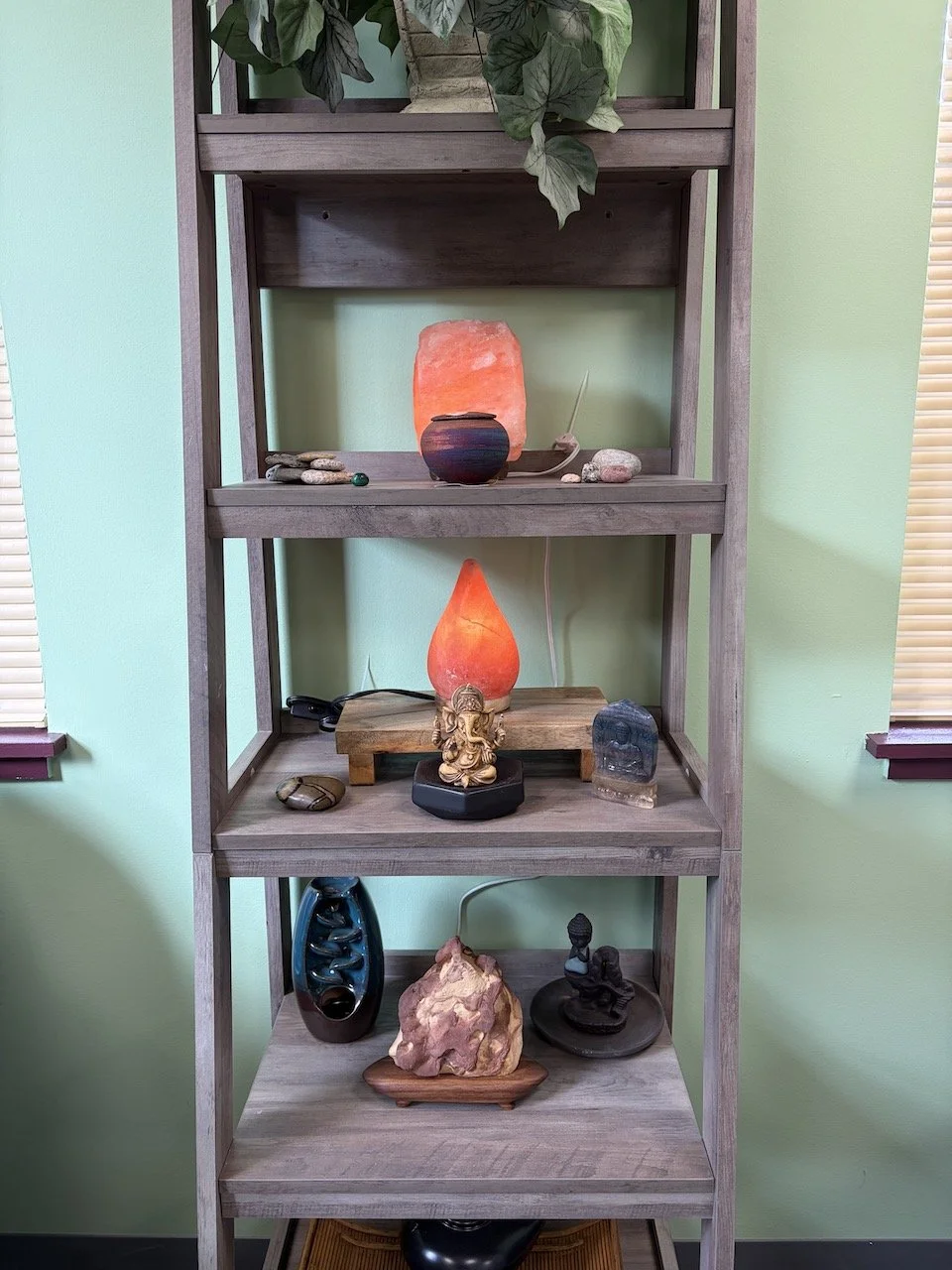 center for trauma recovery shelf with salt lampss