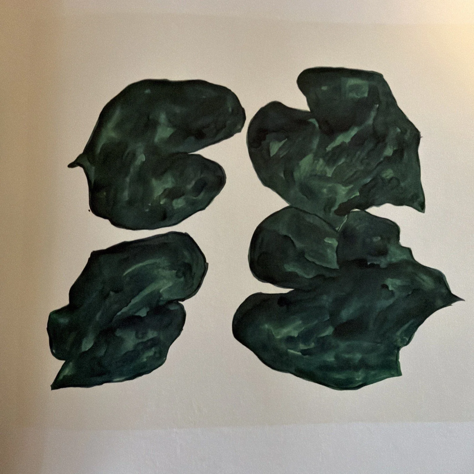 image from Ellsworth Kelly : Plant Drawings 