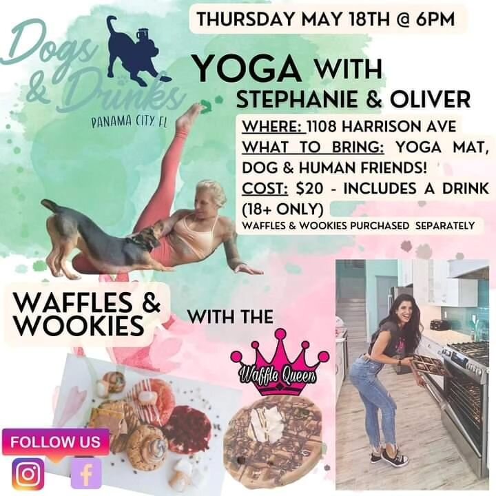 Poses with pups NEXT Thursday!take a moment to paws &amp; reflect!
PLUS @wafflequeencafe 
🧘&zwj;♀️ + 🐕 + 🧇 = 😍