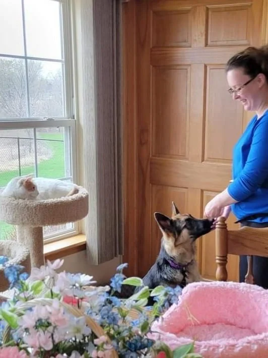 In-Home, Private Dog Training: 60 minutes (3 Sessions)