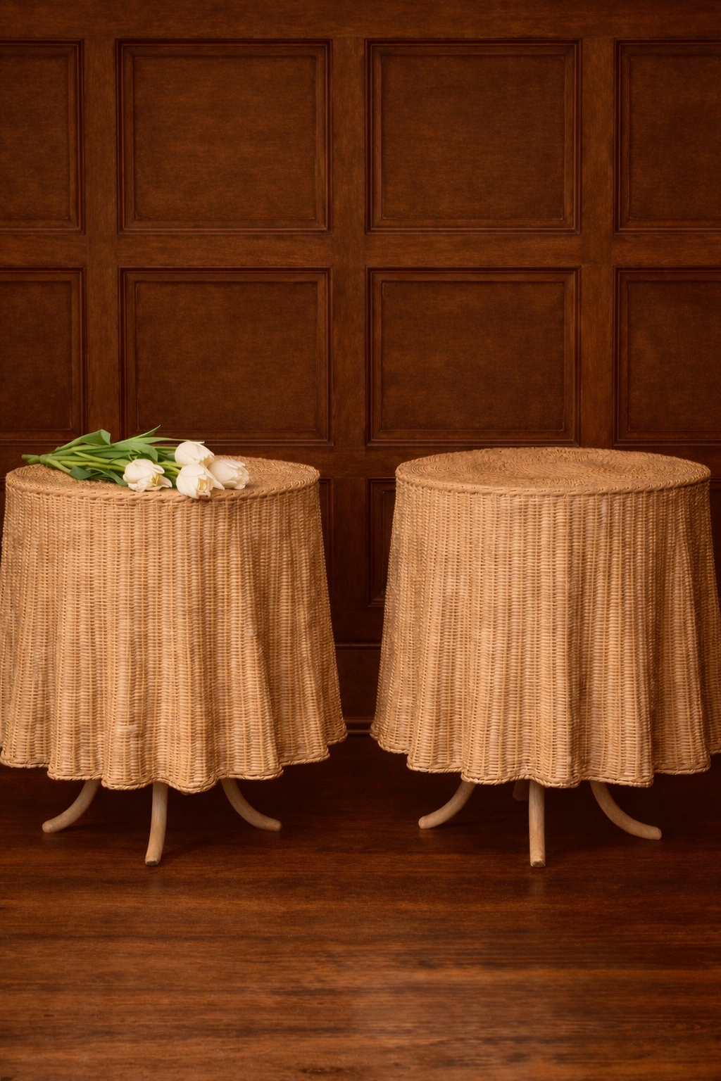 Sophie on dark wood.jpg