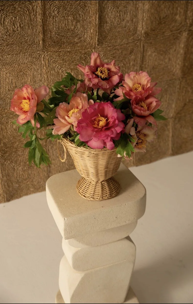 Palais Urn Bebe - Shoot Aerial - Copy.jpg