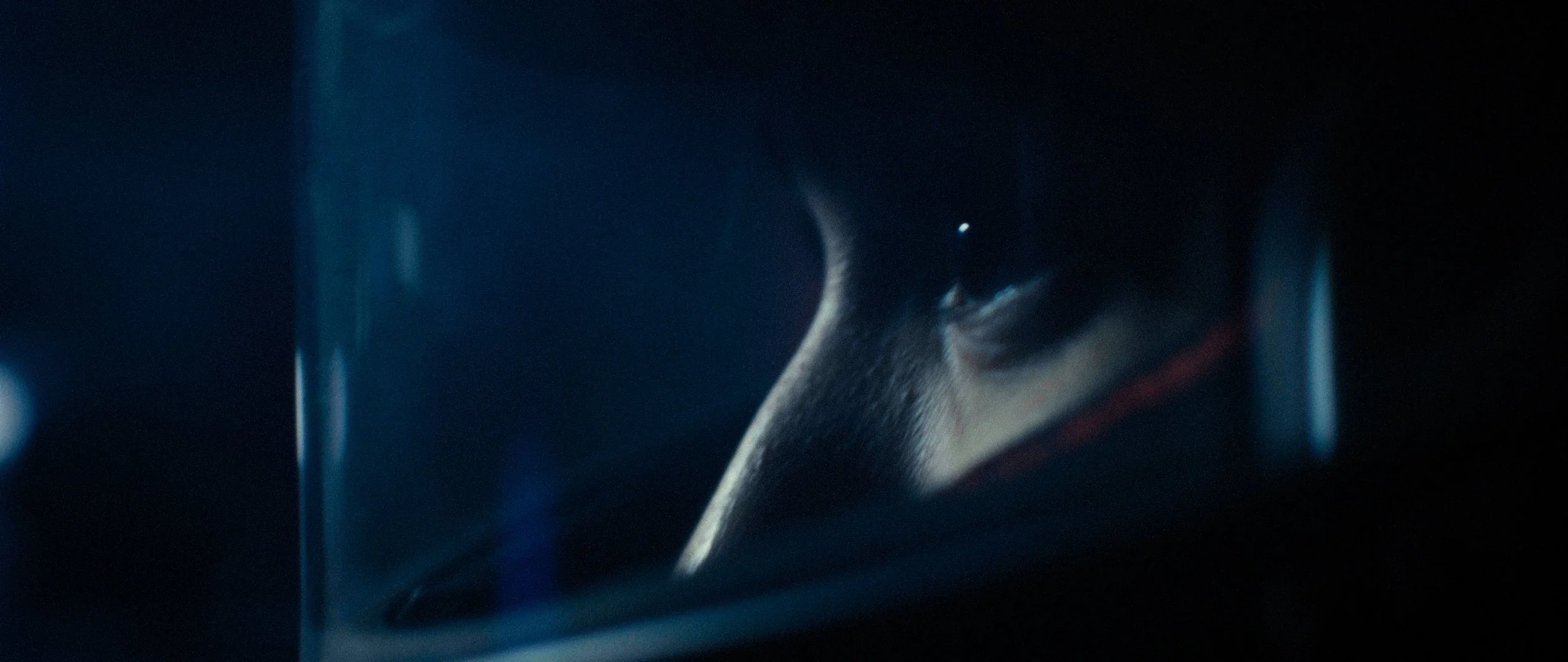 DC_V3_WIDE _COLORED.00_00_03_25.Still006.JPG