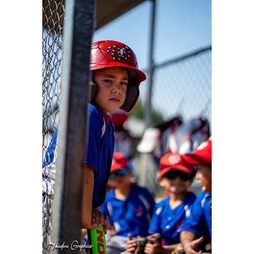 Baseball Photo