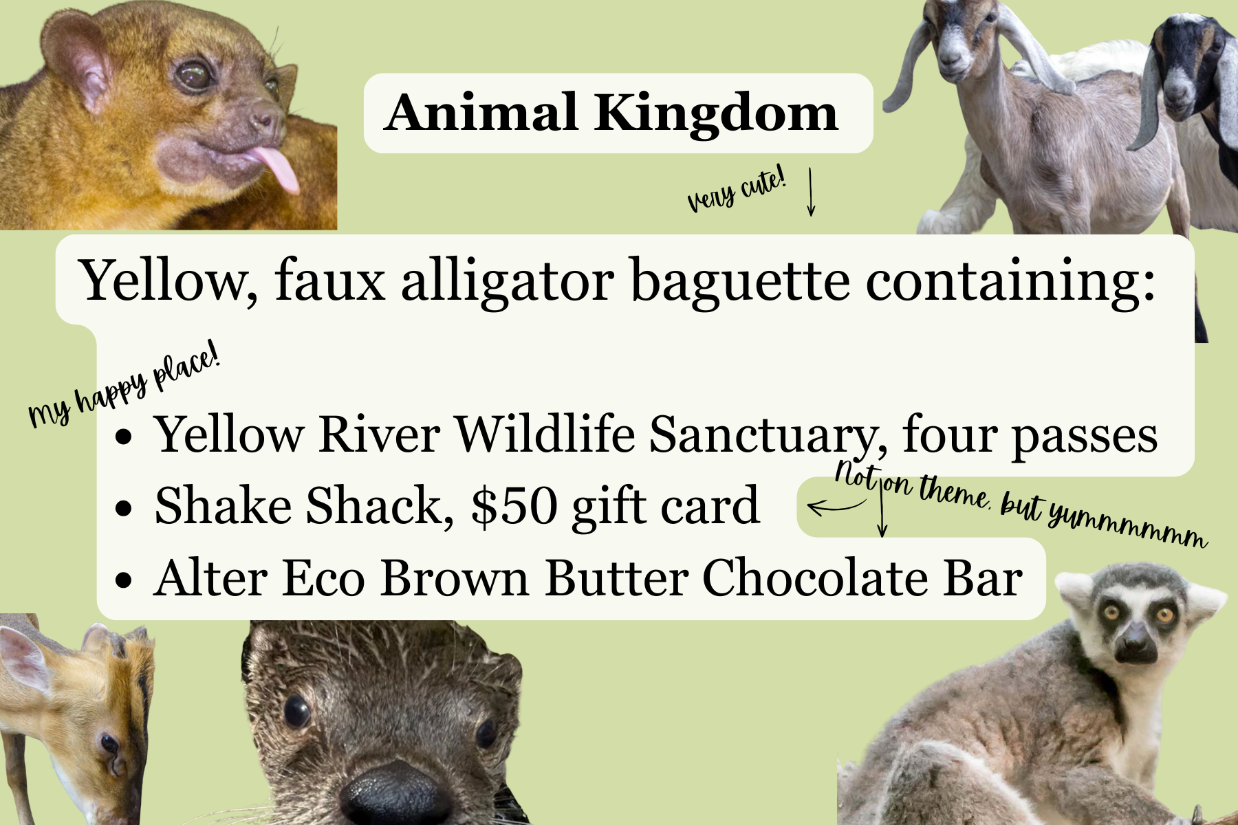 4. Animal Kingdom