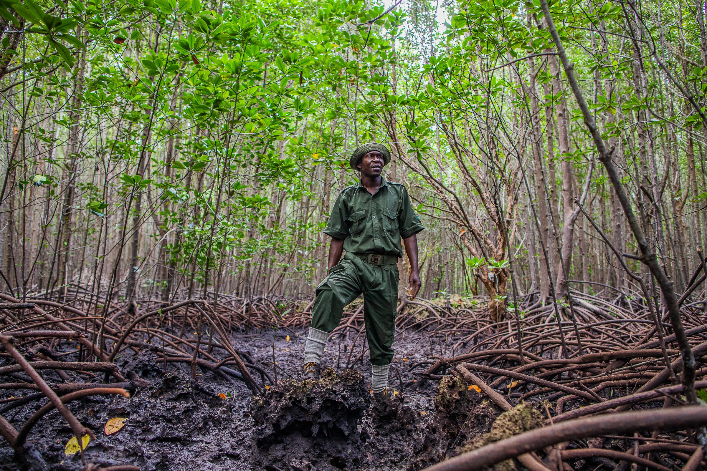 Mangrove Community Ranger