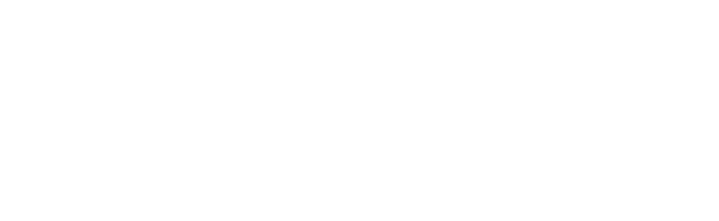 AFO primary logo white.png