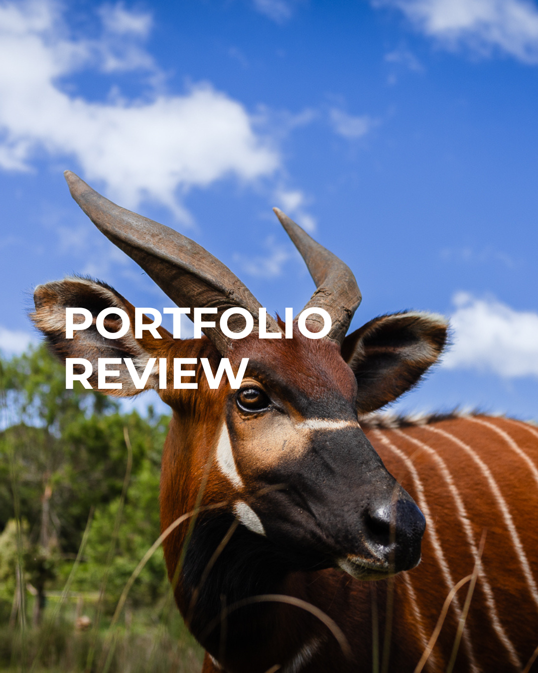 Portfolio Review Intensive | Professional Feedback. Clear Direction. Real Growth.