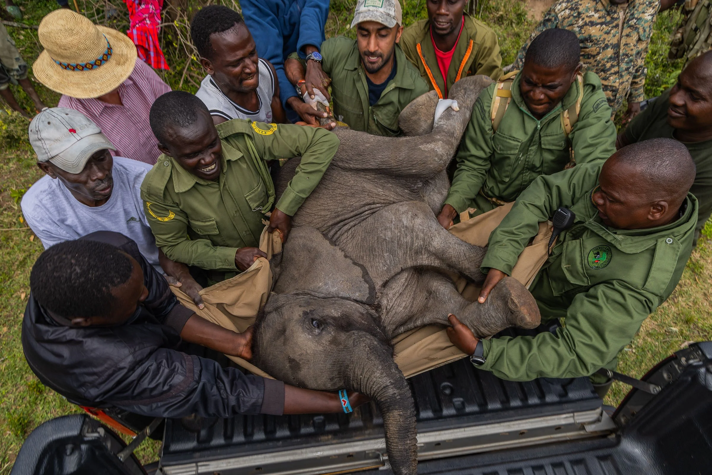 ElephantRescue_20250617_Anthony_Ochieng_Onyango-57.jpg