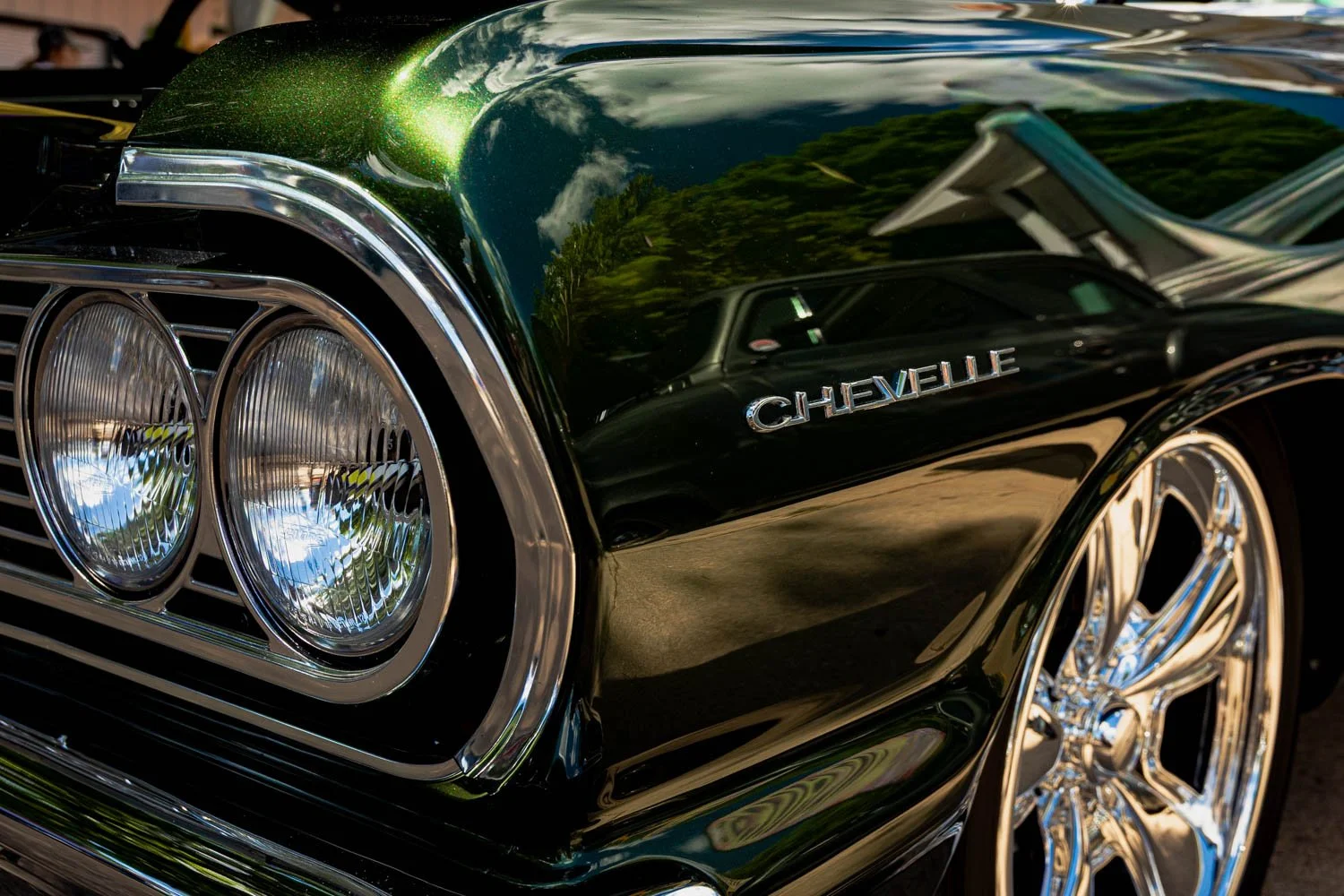 backtothe50s-64246424.jpg