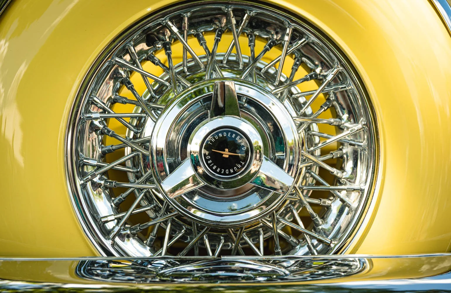 backtothe50s-63976397.jpg