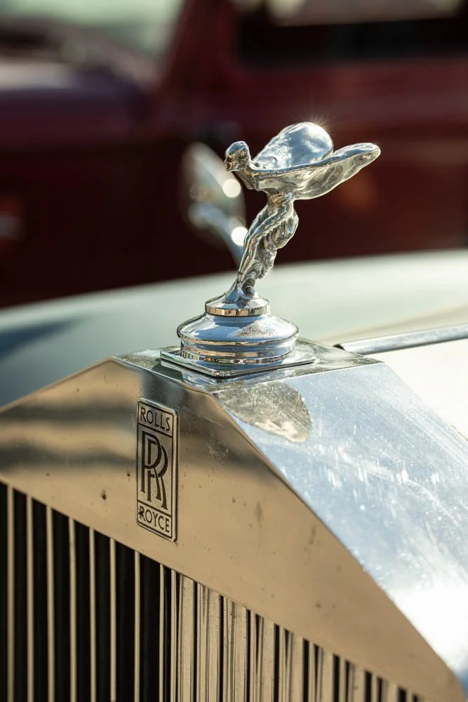 backtothe50s-65566556.jpg