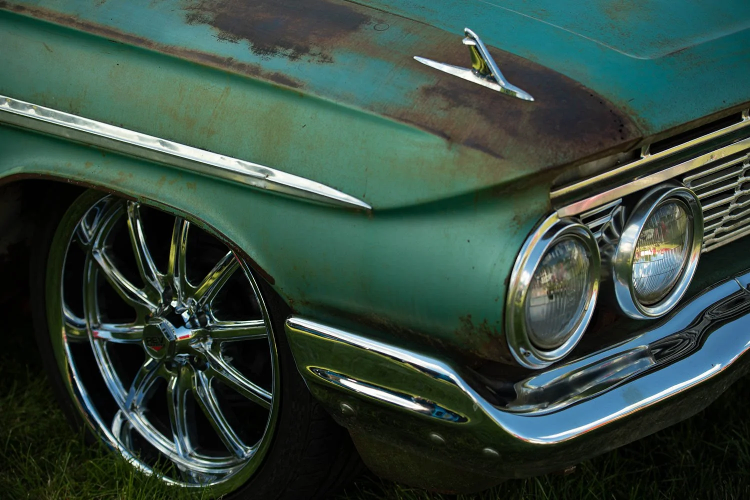 backtothe50s-65496549.jpg