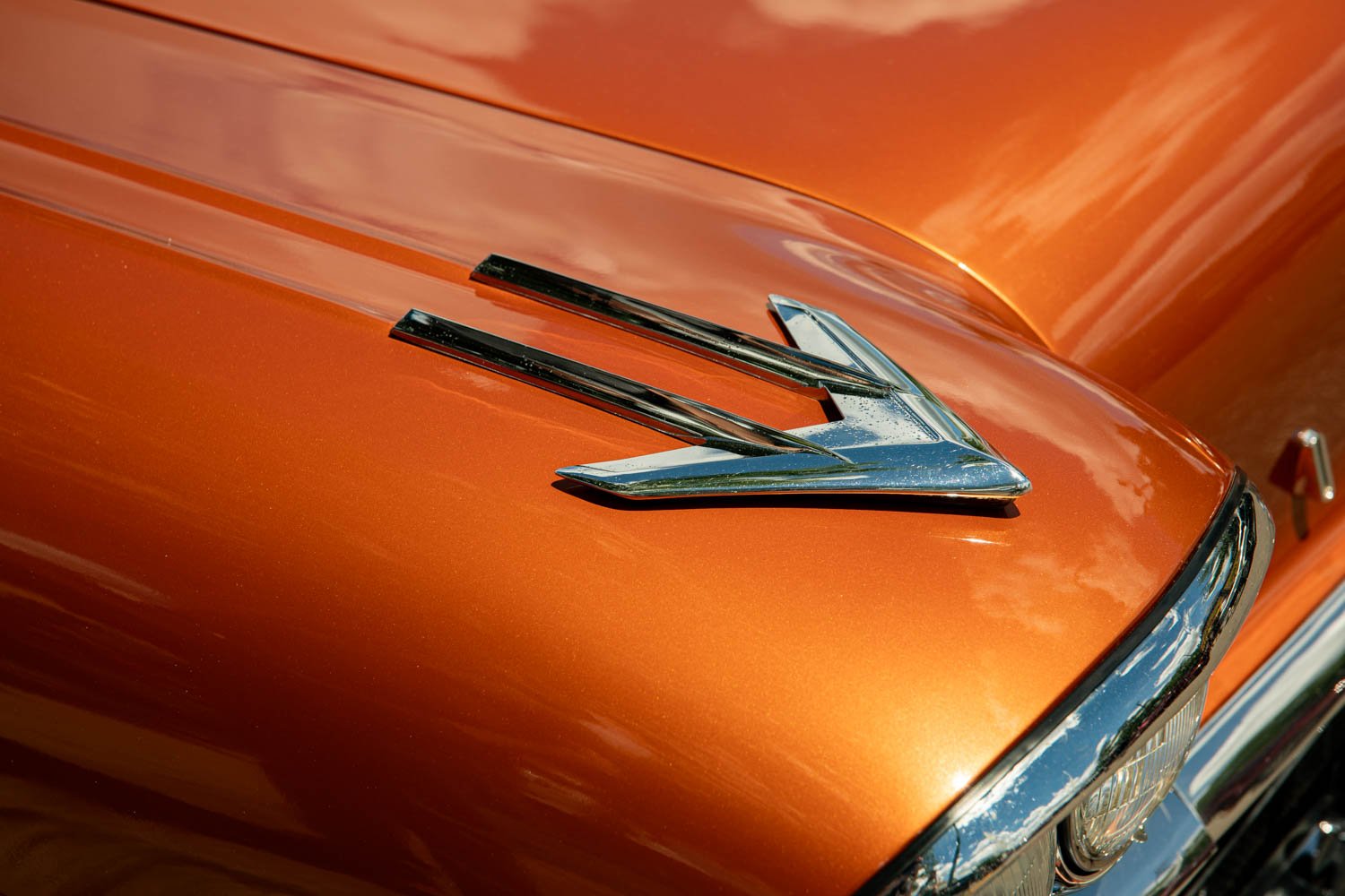 backtothe50s-65216521.jpg
