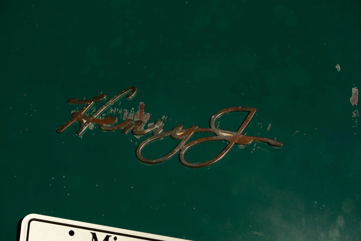 backtothe50s-65636563.jpg