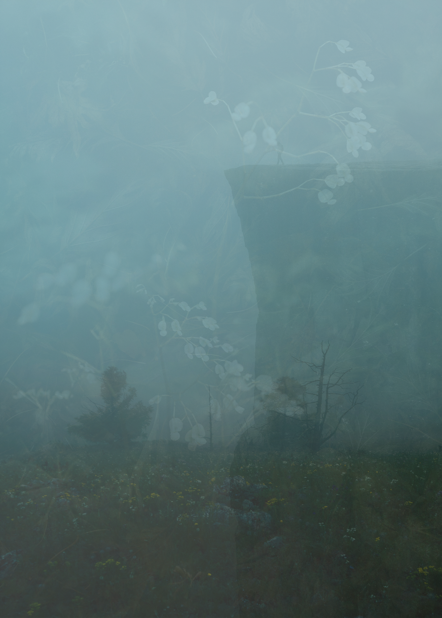 Wuthering Heights inspired layered image of 3 photos. The layered foggy effect imitates the English moors from the story. A ghostly figure looks on towards another person high on a precipice.