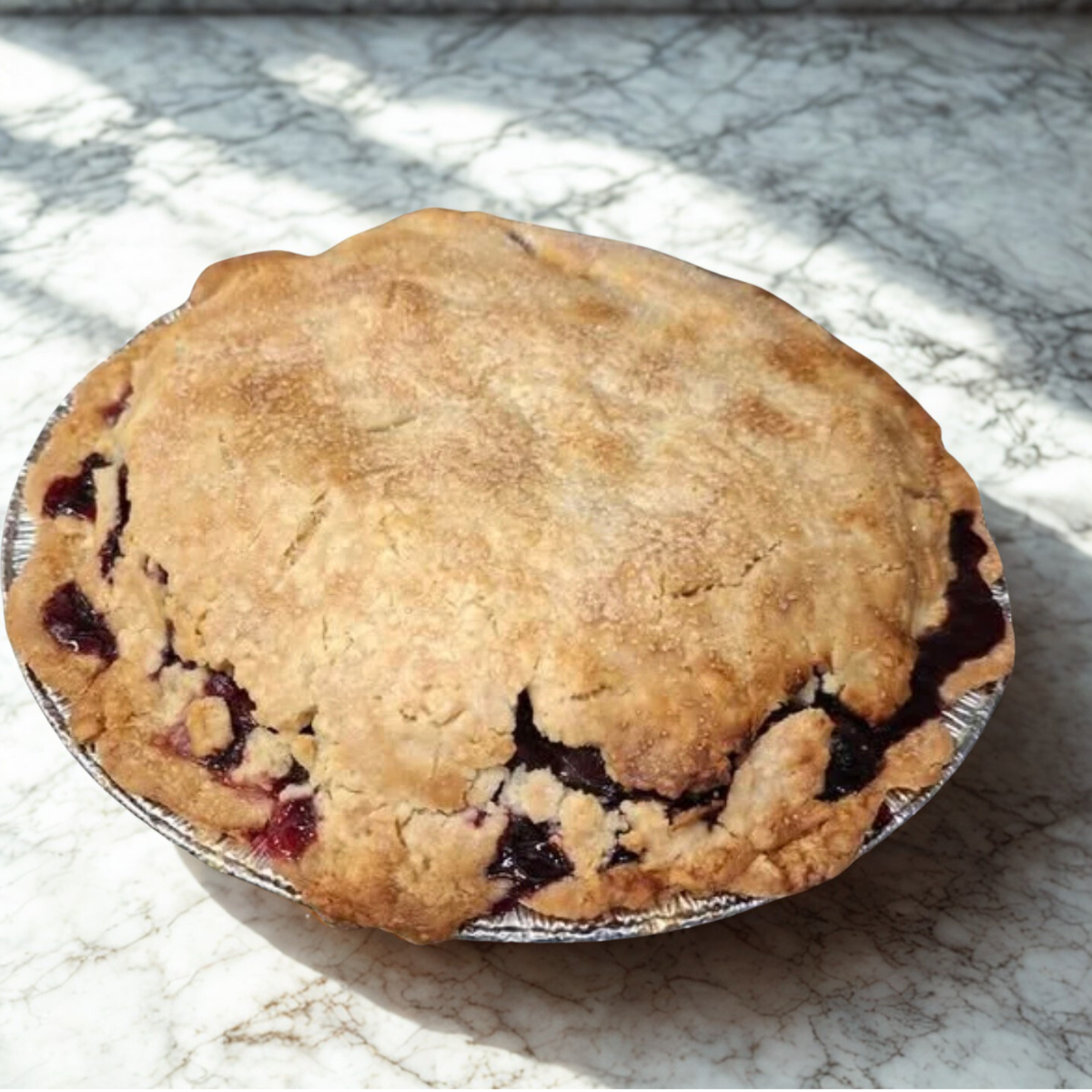 Untitled design-349.png