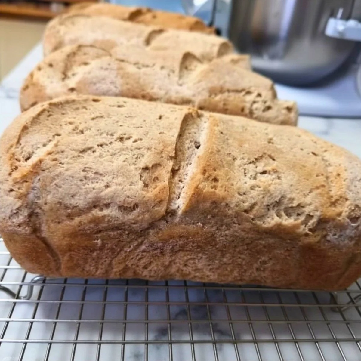 Sourdough Bread