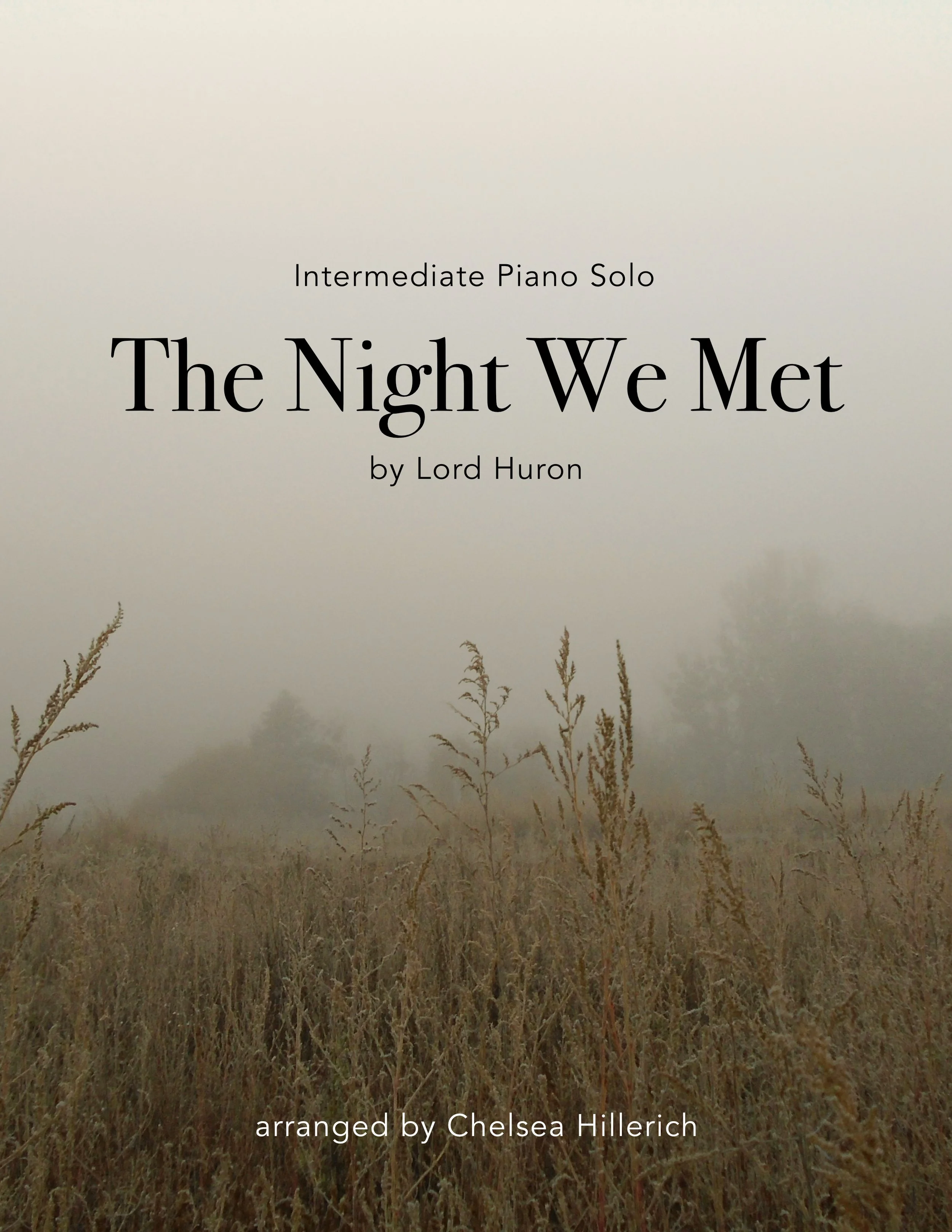 The Night We Met cover.jpg