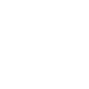 car icon