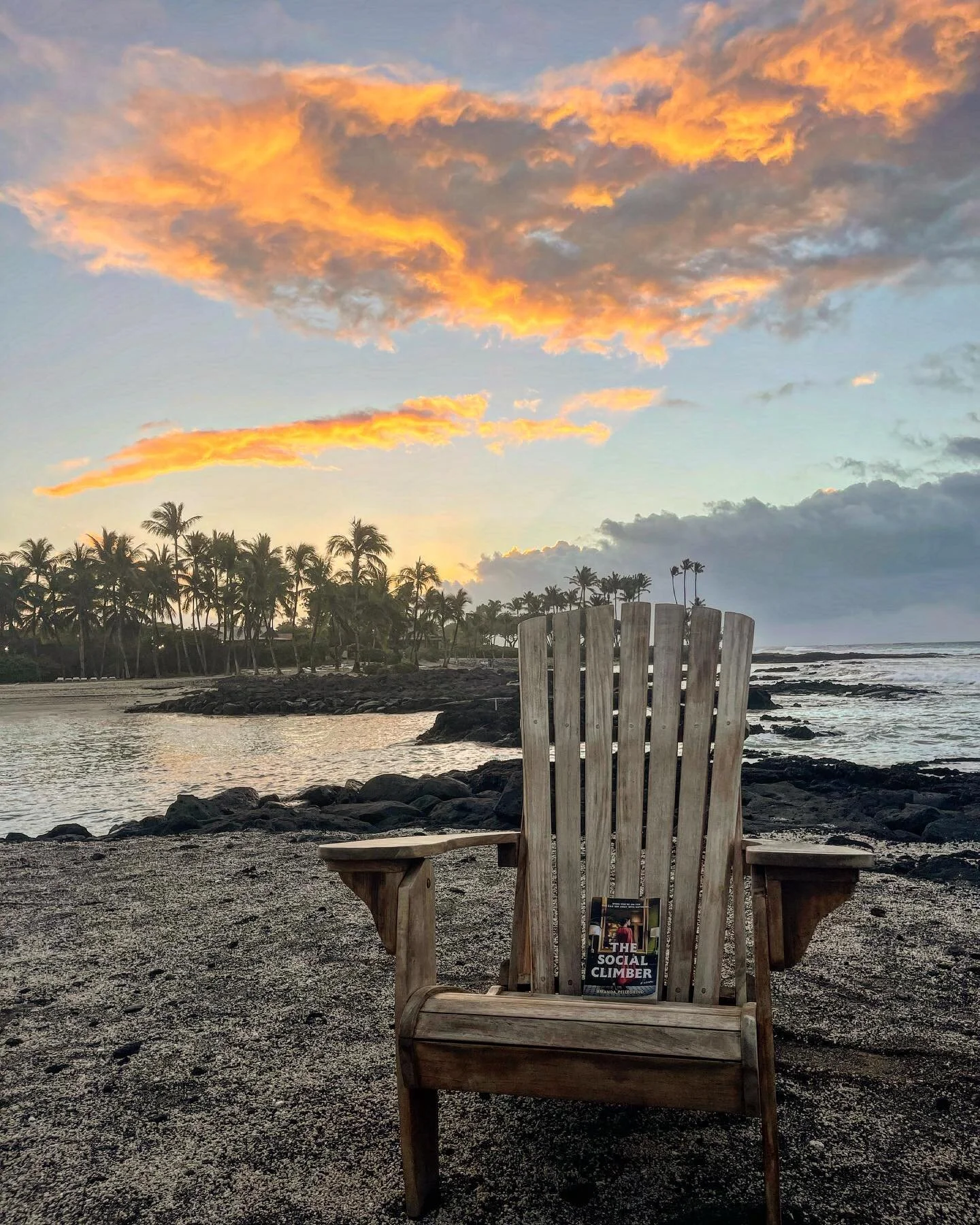 The Social Climber — Amanda Pellegrino