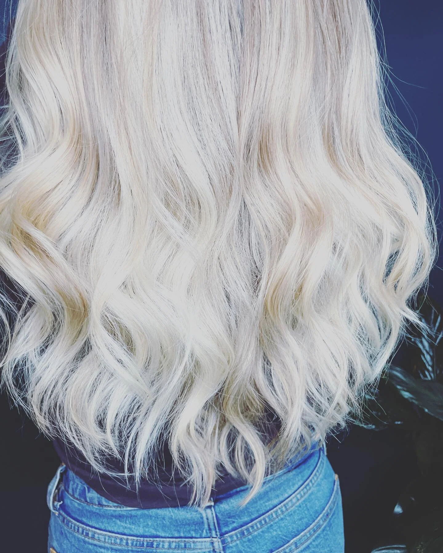 This beaut is getting married! And she&rsquo;s my neighbor ❤️.
.
Pretreat with @k18 and @olaplex #teasylights toned with @redken  #shadeseq .
.
Finished with @jvnhair for the win.
.
The groom and ring-dog are cute too.