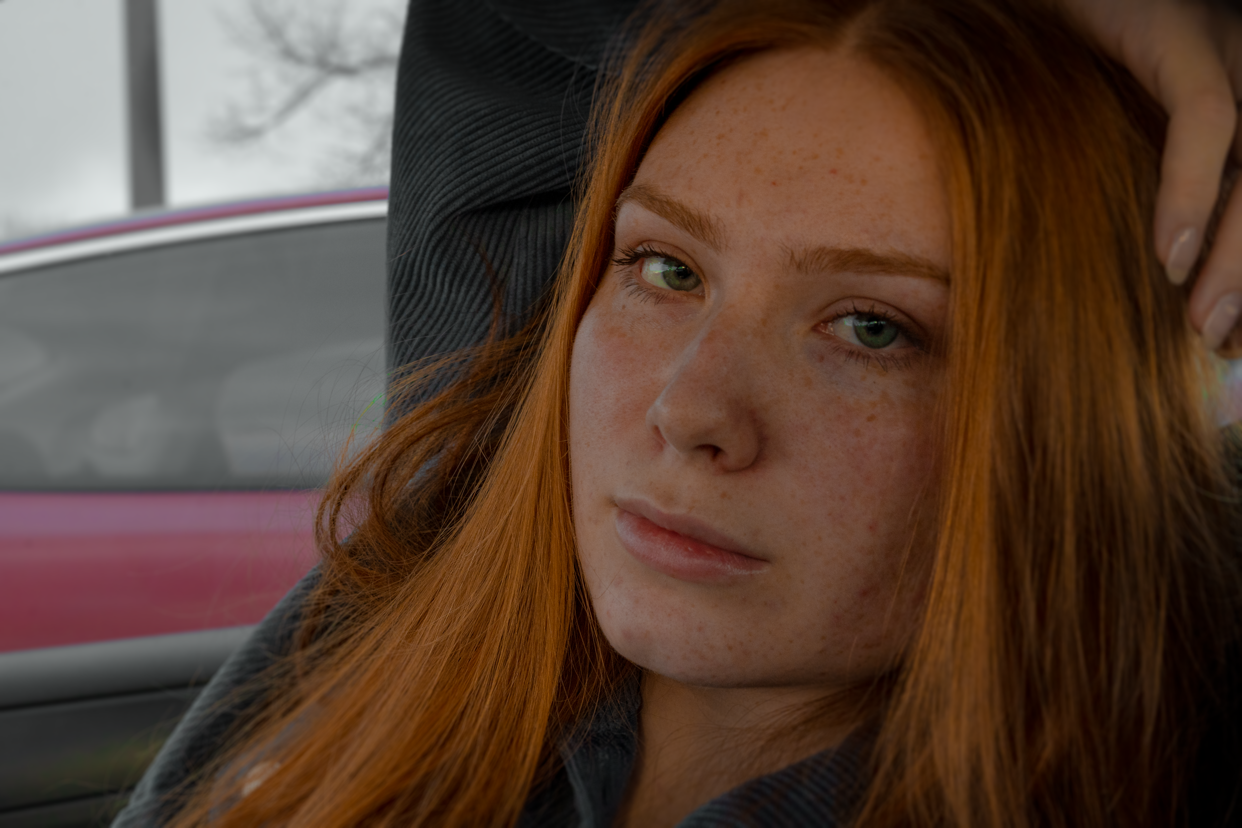 DSC06538.png
