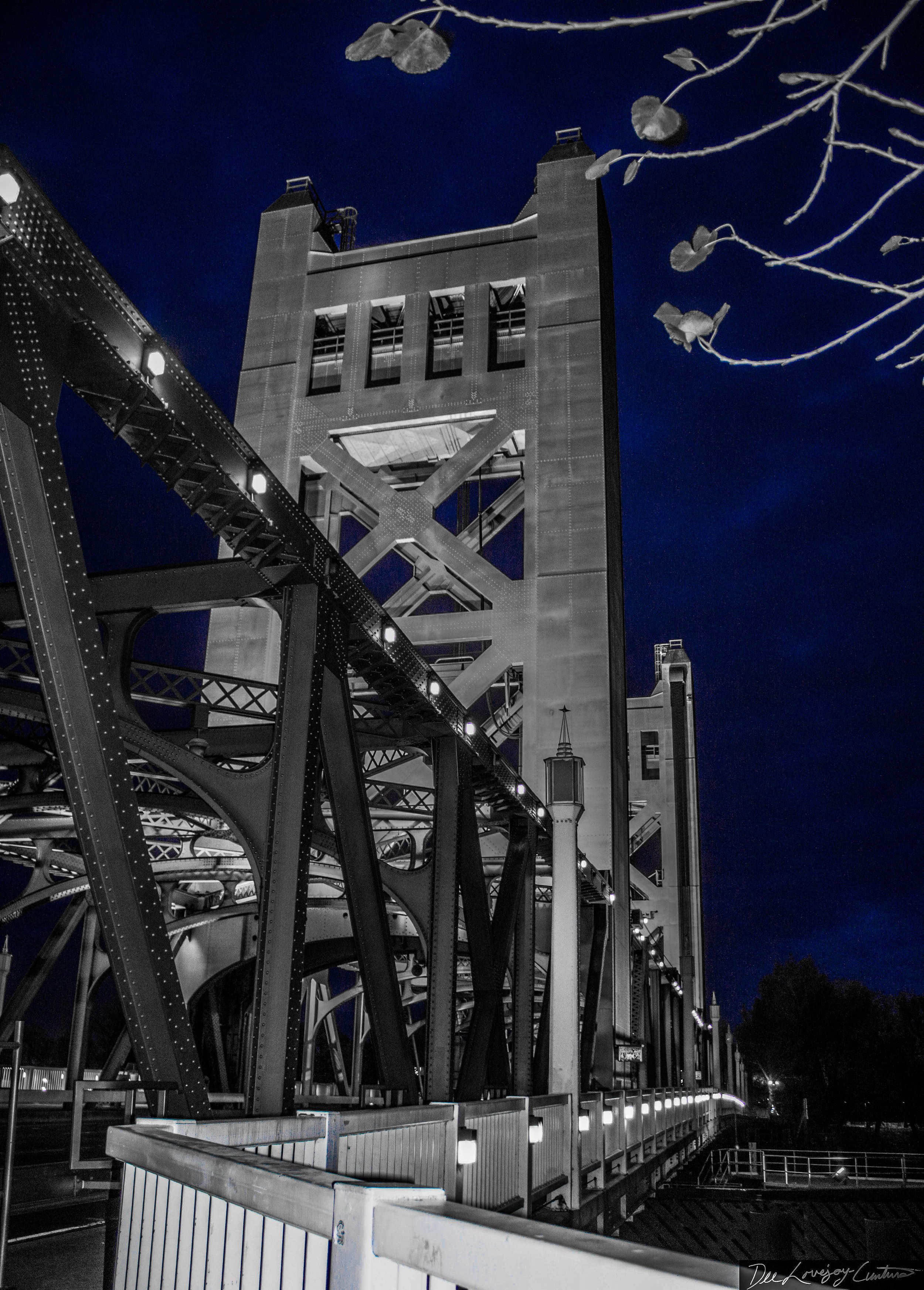 "Midnight Sapphire" Taken 2019, edited 2020