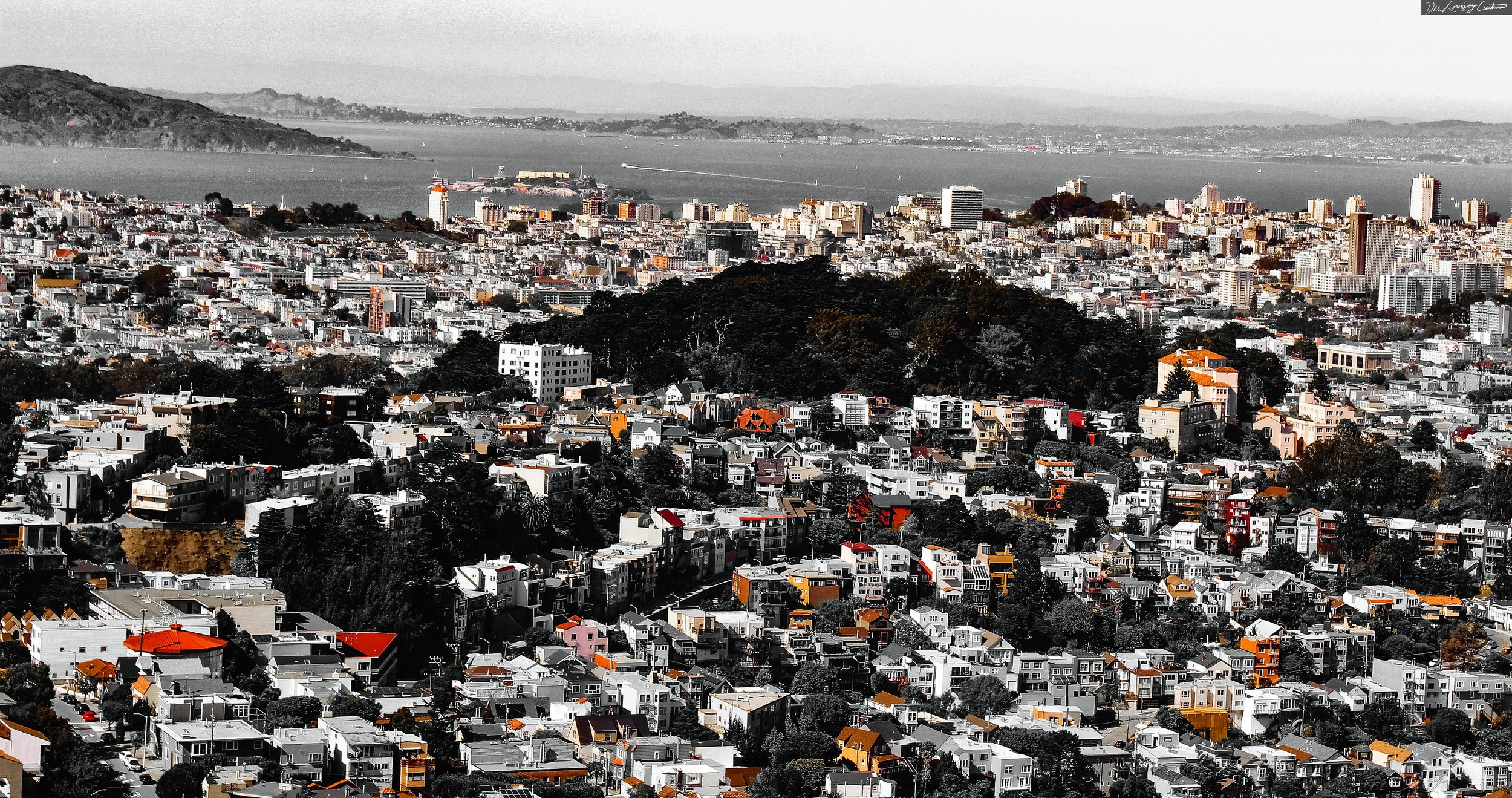"Amber SF" Taken 2018, edited 2021. San Francisco, CA