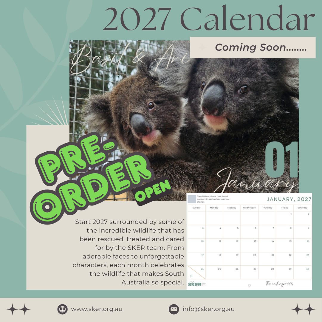 🐨 THE 2027 SKER WILDLIFE CALENDAR IS HERE 🦔