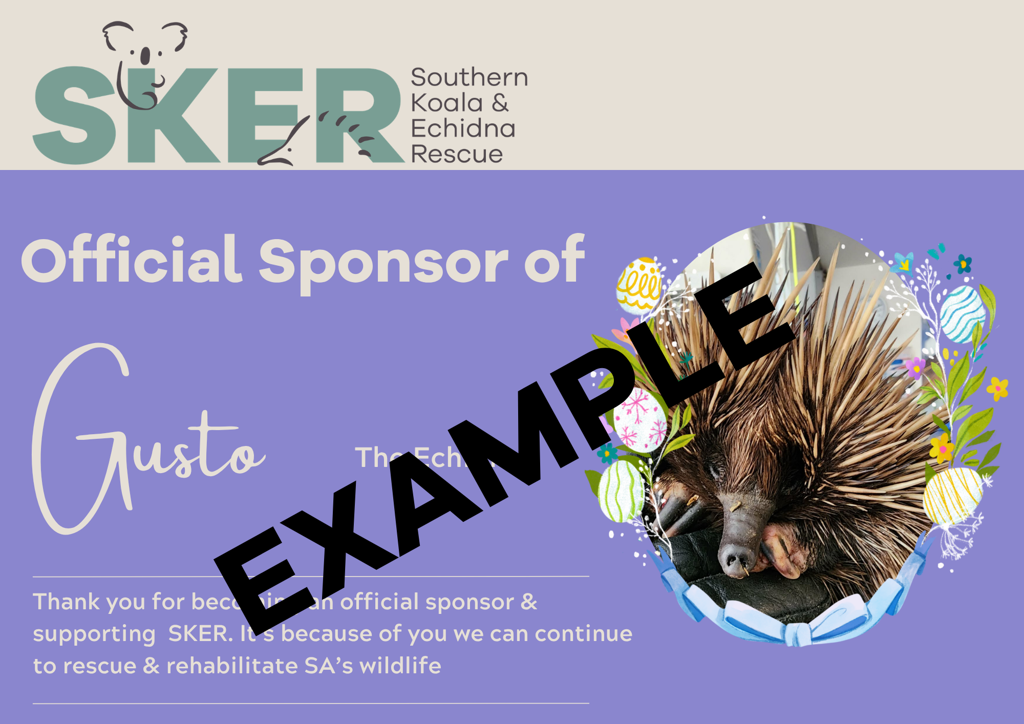 Copy of Echidna sponsorship Template .png