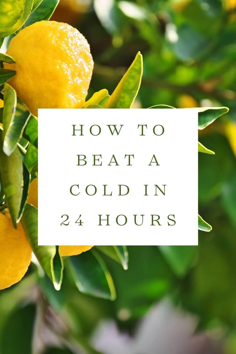 How to Beat a Cold in 24 Hours — Have Health Do Travel