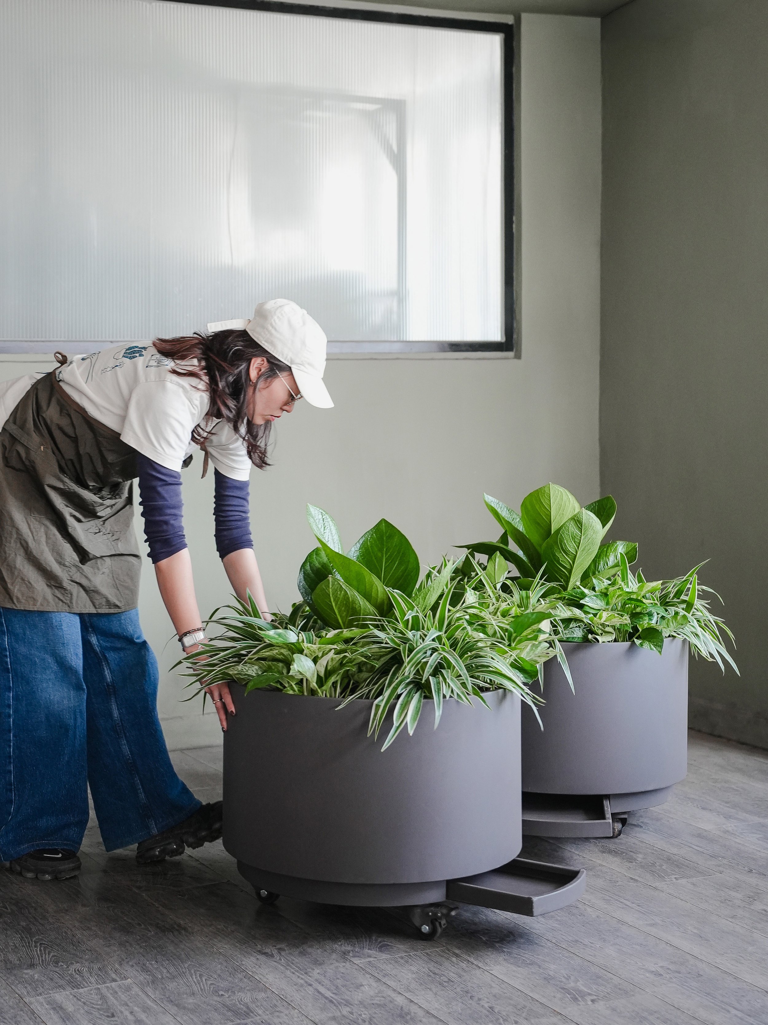 Movable Round Planter (plants included)