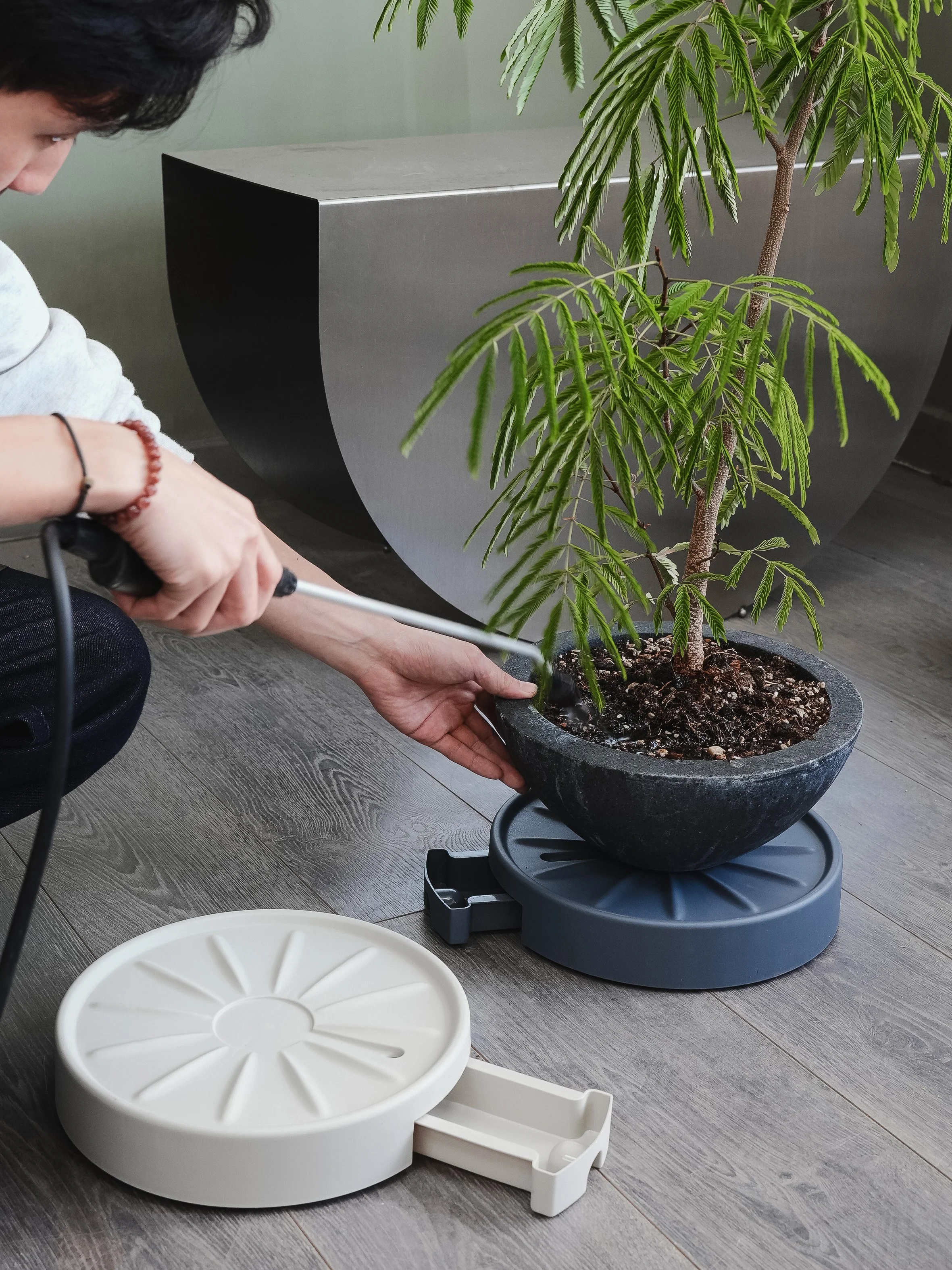 Plant Caddy_1.jpg