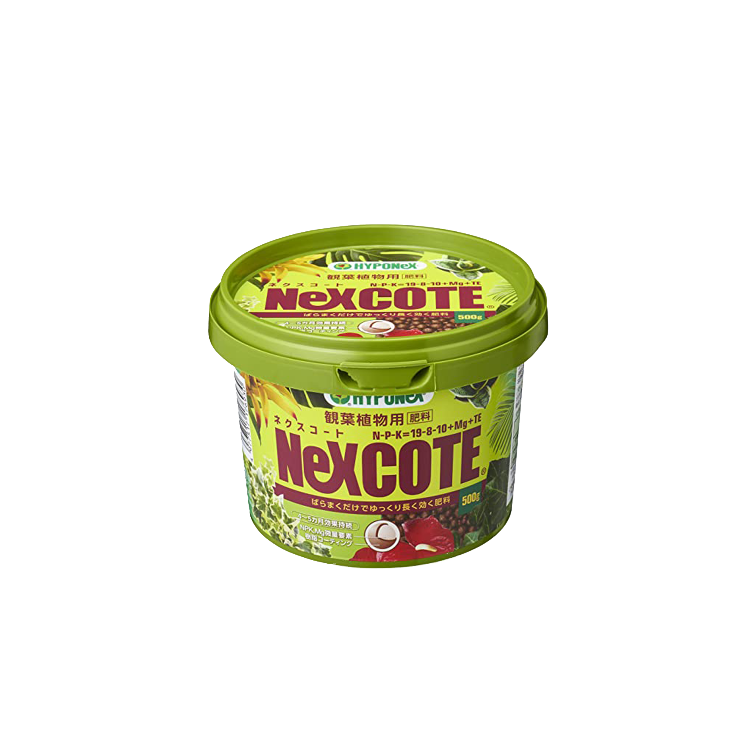 HYPONeX NeXCOTE Fertilizer for Foliage Plants